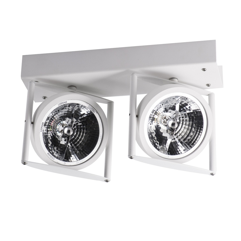 Cynara 2 Indoor Surface mount Celing White